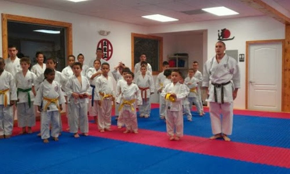 Gino Alfonso Martial Arts