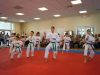 Gino Alfonso Martial Arts