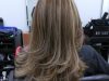 Hair Cuttery