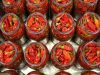 Manzo Food Sales Inc