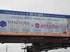 Pandora Insurance