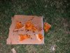 Papa John's Pizza
