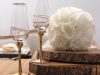 Polinario’s Party Rentals