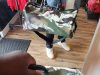 REUP MIAMI Exclusive Apparel and Footwear