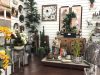Shima Home Decor