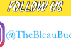 The Bleau Buddha Smoke Shop and Vape Bar