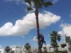The Mansions at Doral