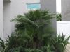 The Mansions at Doral