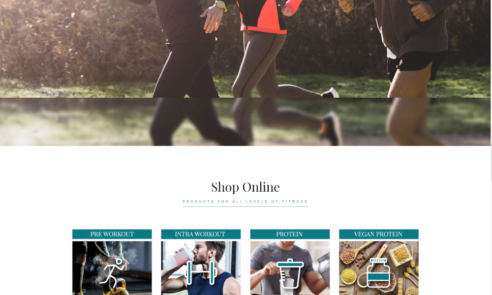 Web Design Plus SEO