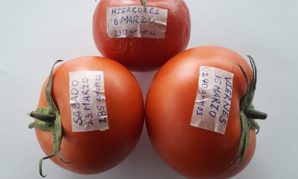 AGRINOVA CO.