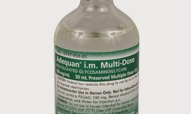 Allvetmed.Com