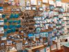 Casini Cake & Baking Supplies