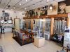 Daluz Optical & Supplies Inc.