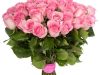 FlowersandFreshness.com