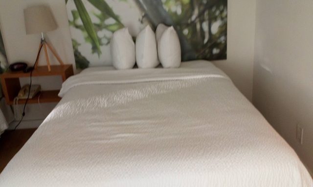 Hotel Miami