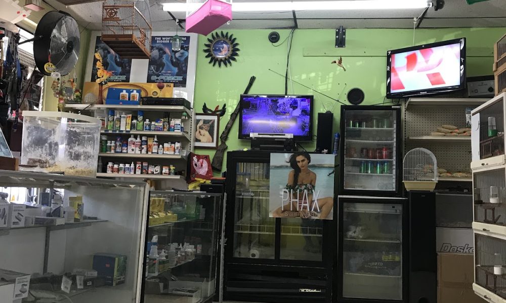 Janet Pet Shop