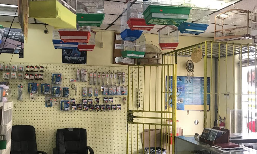 Janet Pet Shop