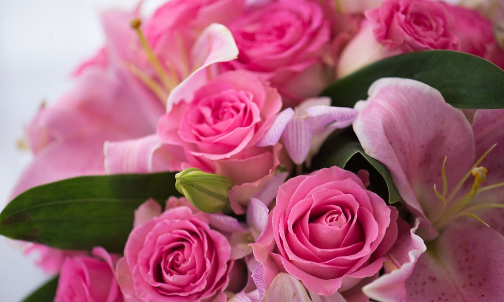 Les Fleurs du Monde