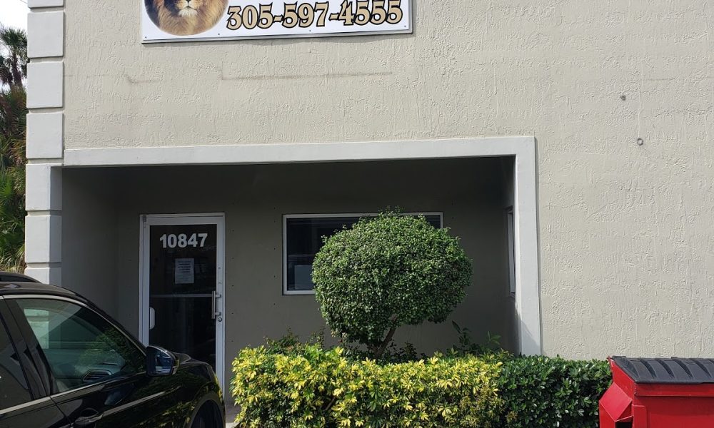 Lion Plumbing, Inc.