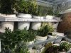 Living Flowers Inc