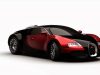 Miami Window Tinting Shop