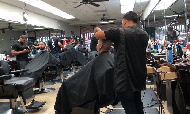 Platinum Cuts