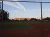 Prince Field