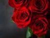 Equiflor/Rio Roses
