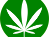 South Florida Marijuana Center