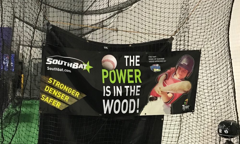 Southbat