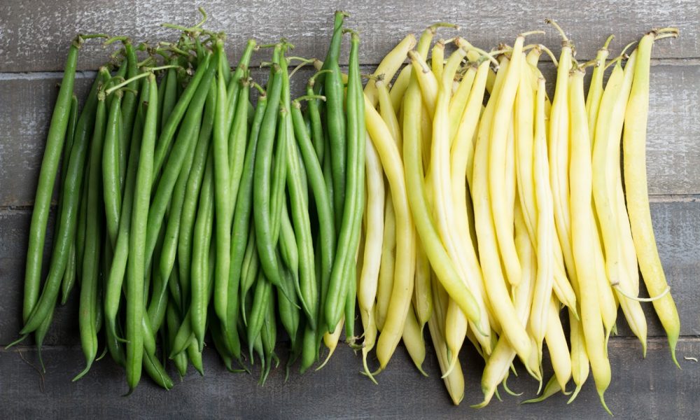 Terra Fresh Foods