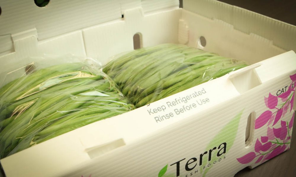 Terra Fresh Foods
