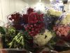 Virgin Farms Direct, Inc.