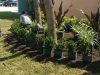 Yard Smart Inc.