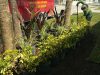 Yard Smart Inc.