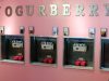 Yogurberry
