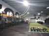 Zoom Fitness