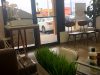pure organic nail salon spa