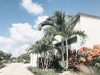 Calvary Chapel Miami