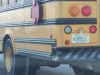 Air B Bus Transportation