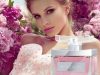 Albani Perfumes