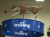 All Veterinary Supply Inc