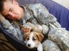 Allvetmed.Com