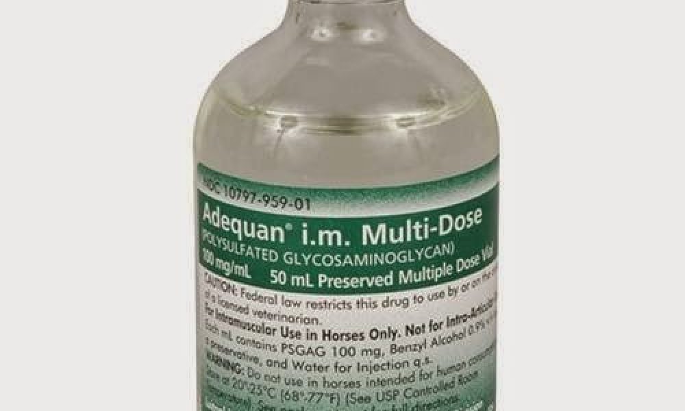 Allvetmed.Com