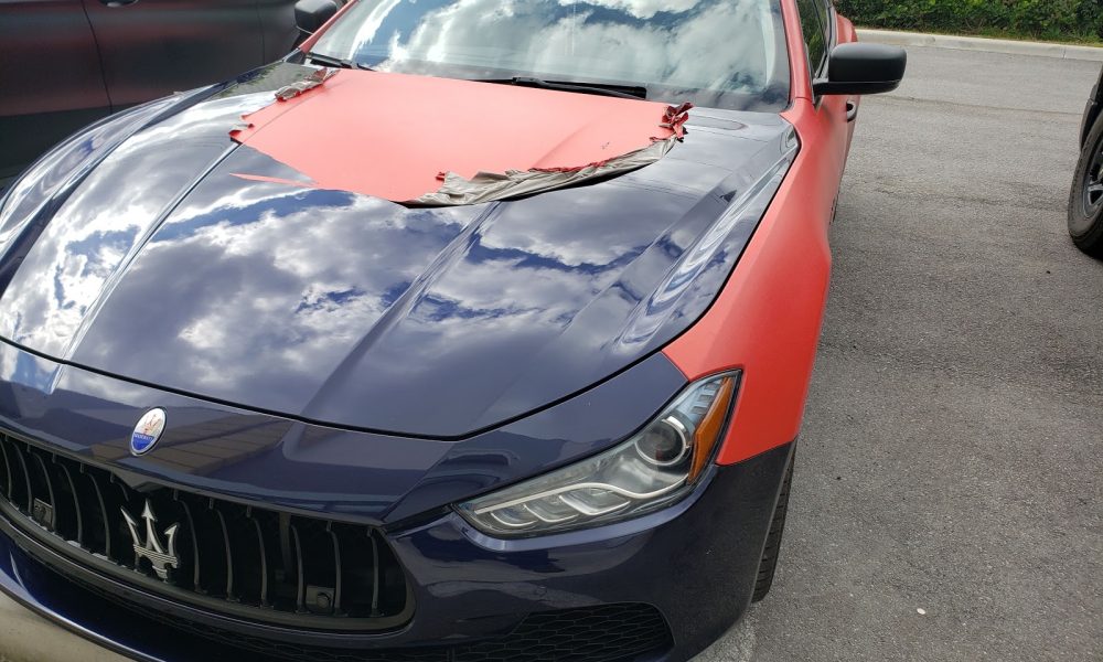 Alpha Pro Detail
