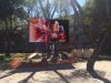American Led Display Solutions Corp. - GOT