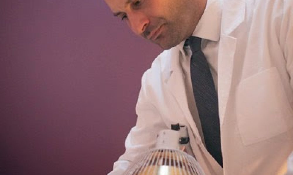 Andrew R. Heimann