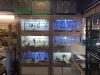 Animal Palace Pet Center