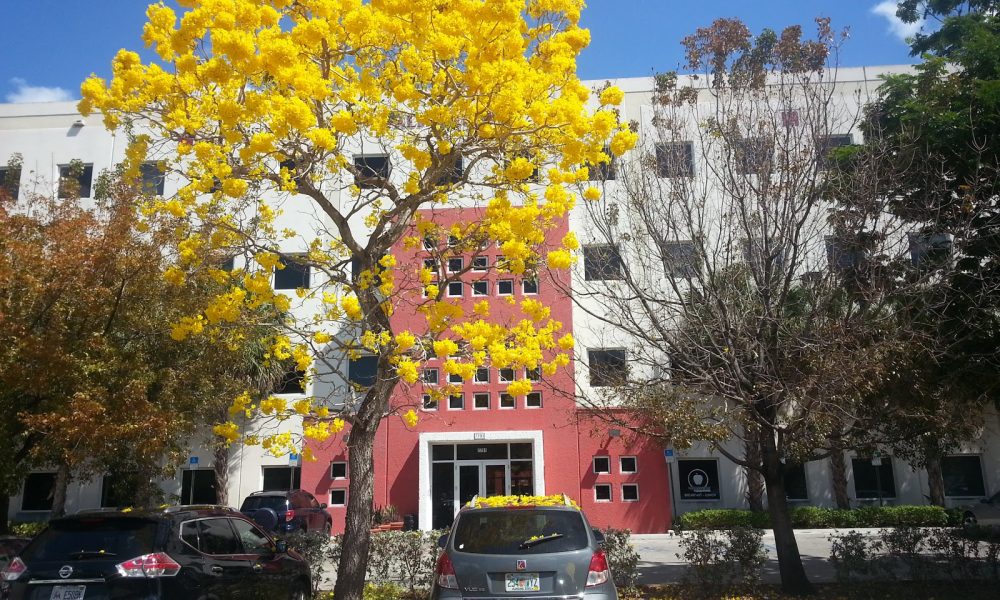 Arts Digital Institute