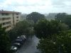 Birchwoods Apartments